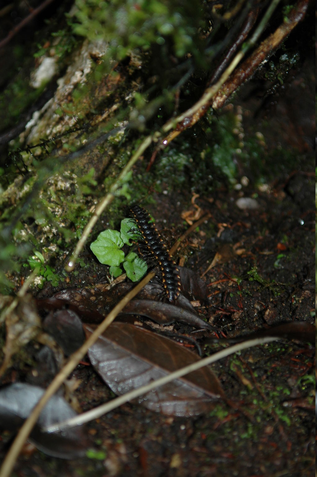 dsc_1907.jpg