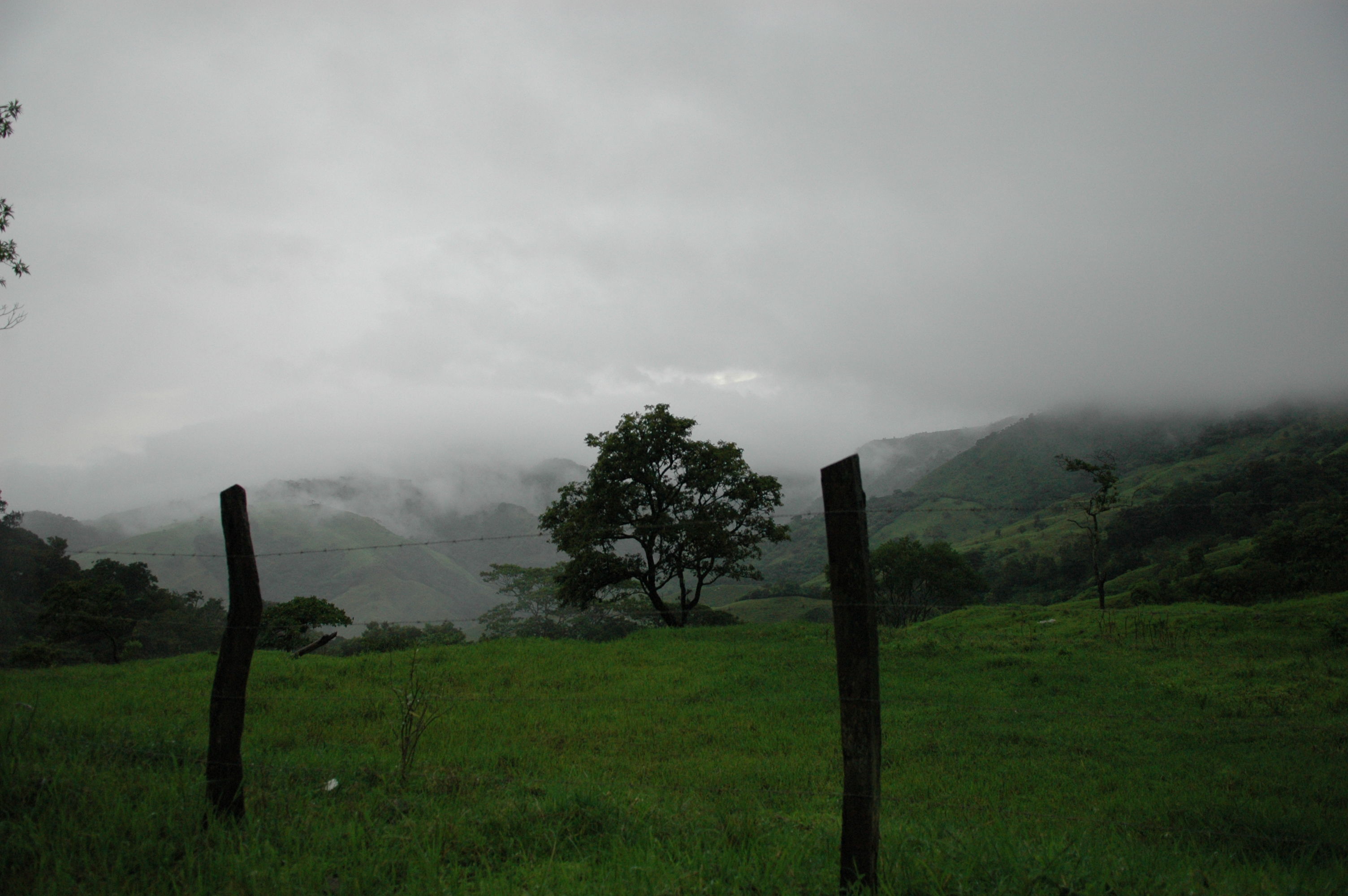 Heading down from Monteverde in the rain, we could look down into the misty valleys of Costa Rica.