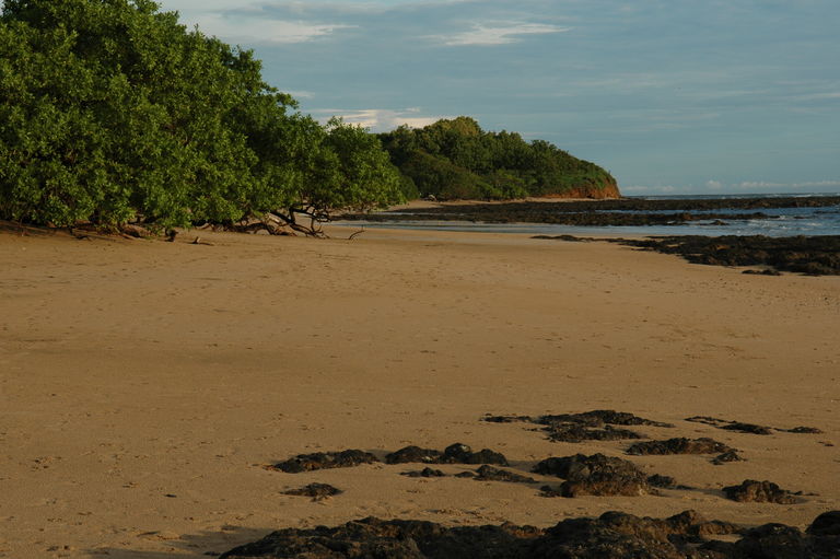 Playa Avellanas