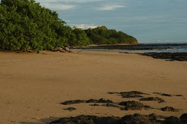 Playa Avellanas