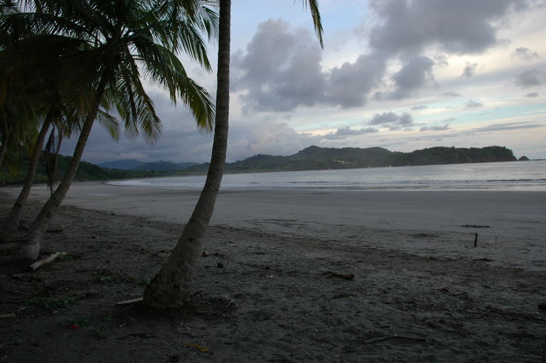 Playa Carillo had a nice row of palms separating it from the road