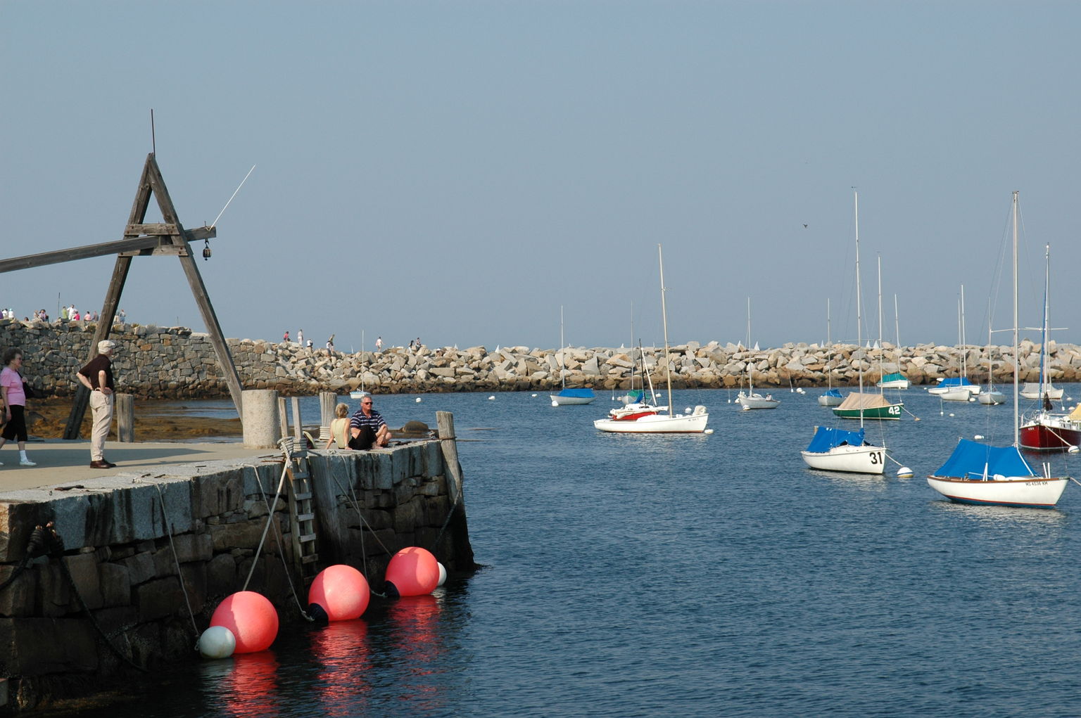 dsc_6242.jpg
