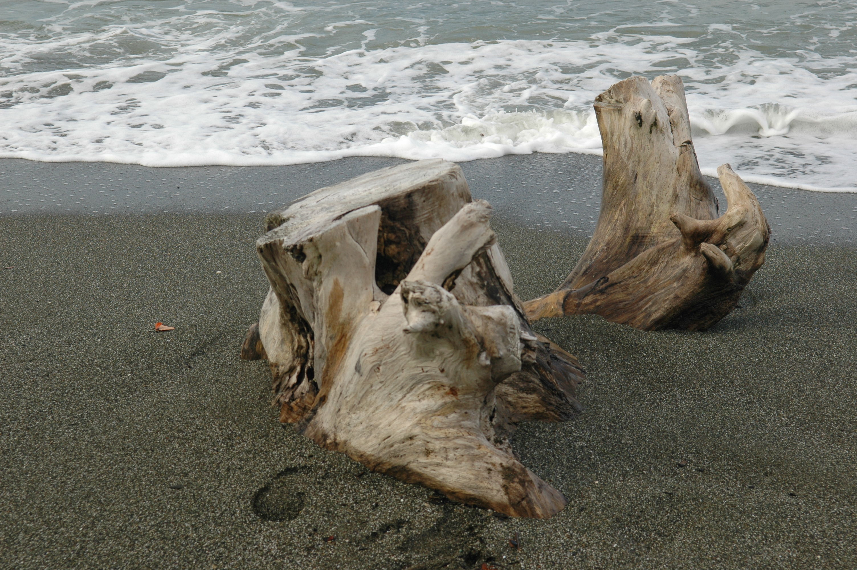 dsc_6960.jpg