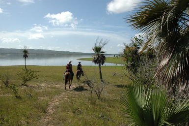 dsc_2223.jpg